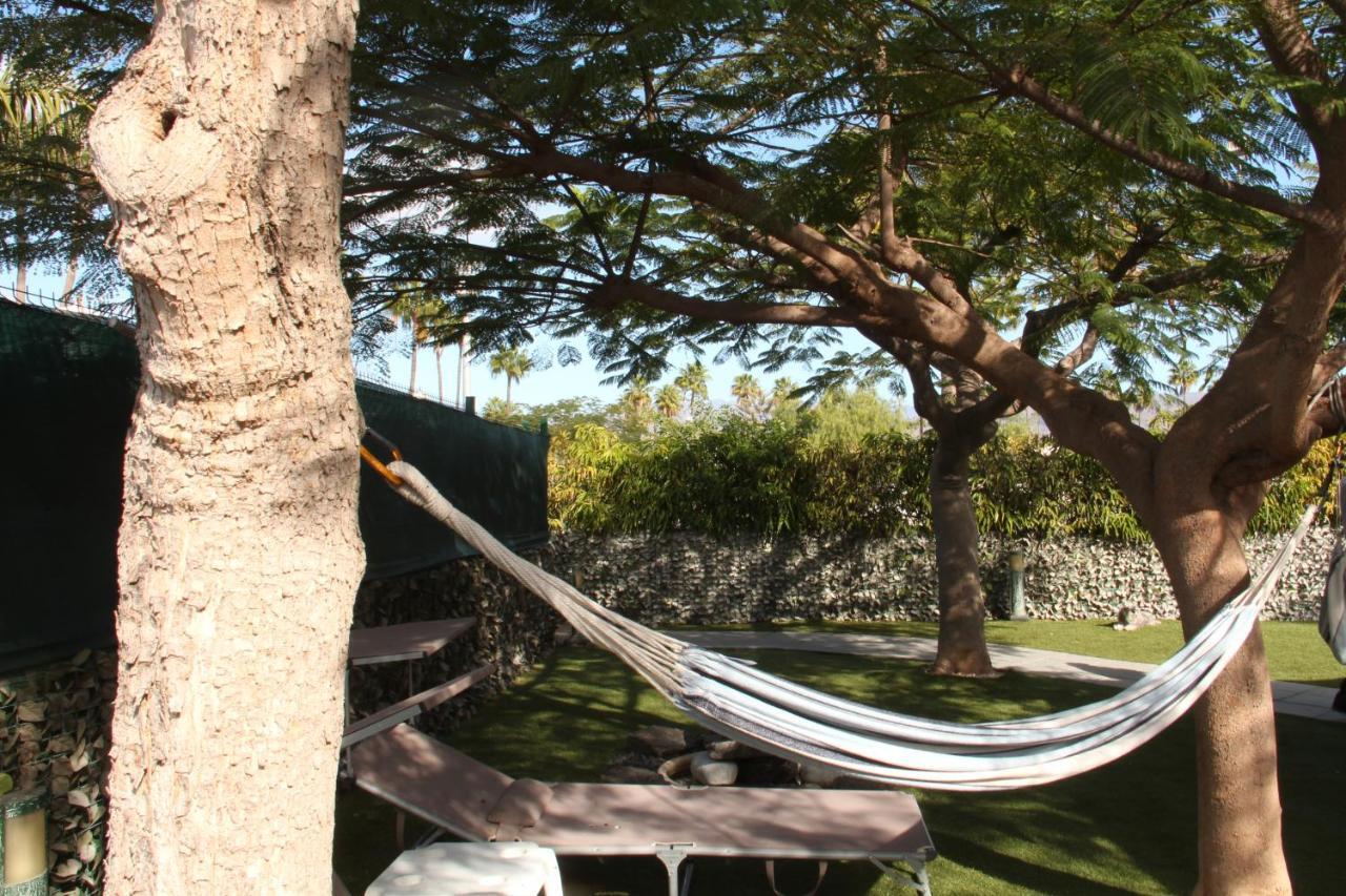 Albaricoques Vivac Bungalow San Bartolomé Extérieur photo